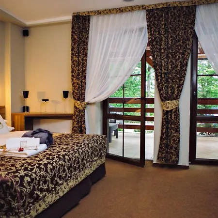 Hotel Debowe Wzgorze Wellness & Spa-3